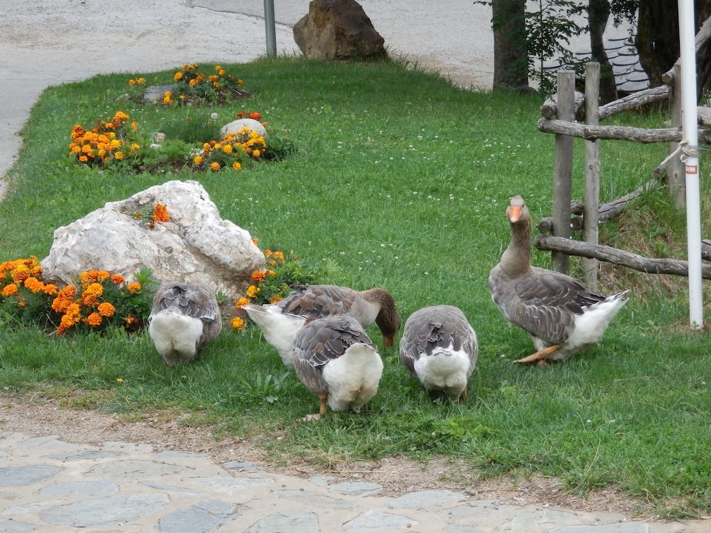Campsite Fosses *
