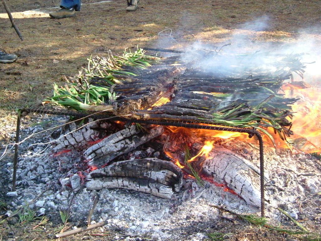 Campsite Fosses *
